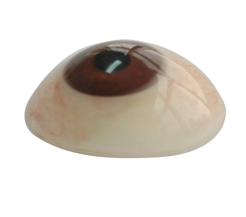 六盘水微雕义眼定制